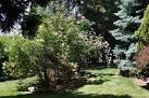 Side Yard Garden