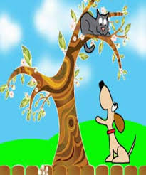 Bildergebnis für ‫سگ واقی وکربه واقی‬‎