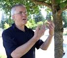 Steve Powell skipped work a day after Susan disappeared | The Salt ...