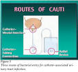 http://www.o-wm.com/files/owm/smith5.png