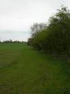 In the distance is Claxton in this photo at the edge of Whey Carr plantation - via Daymix