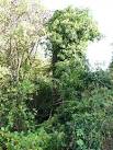St Michael's chapel - Kett's - via Daymix