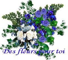 images?q=tbn:ANd9GcRfFx0Fo7kyNvMA-0BV7kKgduHGT818QjfM5xWIMIaE6Vx6nGFo