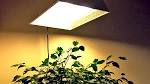 Hydroponics Equipment You Need To Have For Successful Growing ...