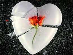 http://t3.gstatic.com/images?q=tbn:ANd9GcRfoC41OYmMG_G5OgACfw_3ywA-StpL_gWd_zWbkv-a6PxVTIqnoA