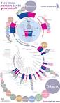 The causes of cancer you can control - Cancer Research UK ...