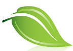 RochesterEnvironment.com | Rochester NY | environmental news links ...