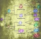 Hatchi Evolution Chart by Allishinca on DeviantArt