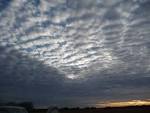 Fort Sam Houston ��� Weather | San Antonio Military Relocation