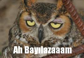 [Resim: images?q=tbn:ANd9GcRgZLxCR2lubLSuFYW9FGS...Lsxexx7lvZ]