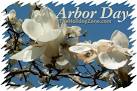 Celebrating Arbor Day at The