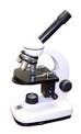 Compound microscope basics