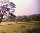 NZ0952 : I remember when this was all fields. - via Daymix
