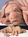 Patricia Piccinini's Anthropomorphic Sculpture. | beinArt ...