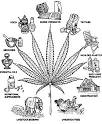 Hemp, Ganja, Marijuana, Weed : Green Gold ! - Psychedelic Adventure