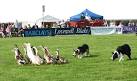 The 62nd Aylsham Show - a traditional one-day agricultural show, - via Daymix