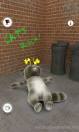 Talking TOM   mobile9