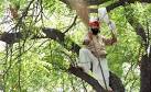 Farmer Who Committed Suicide at AAP Rally Had Once Contested an.