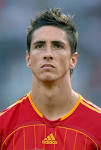 Fernando Torres. Profile