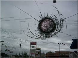 http://t3.gstatic.com/images?q=tbn:ANd9GcRiVwLEUQ55cC9Mo-SZ2fKxC6LryH4GQSHwdOcOWhkDDuOKCgaX
