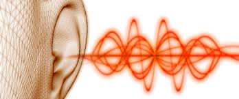 Main focusses \u0026gt; Sudden hearing loss and tinnitus - ENT-Specialists ... - hoersturz