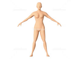 女人体|女性 人体モデル 人体模型 11インチ 約30cm 人体筋肉模型 模型 樹脂 筋骨格 CGペインティング 彫刻 1:6 スタンド付き レッド (女)