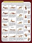 The Best Things My Chiropractor Taught Me - The Fun Times Guide to ...