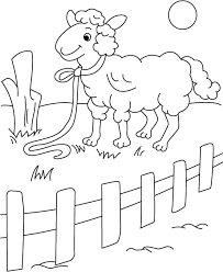 Image result for sheep coloring page
