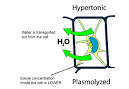 SPM Biology: Types of Solution - Hypertonic