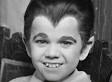 Eddie Munster Rehab