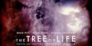 The Tree of Life is maddening,