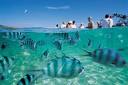 http://www.duatravel.com/site_images/content/FIJI-Fish-People.jpg