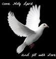 Holy Spirit Images
