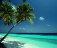 Press Release - Swingers 4 Day Resort Giveaway
