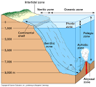 Earth Science"