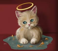 images?q=tbn:ANd9GcRkdqb9G-WFTcPE3B-BiMlSp-Or-LBnDozxHZs5x6mF_YNRyoORKQ&t=1