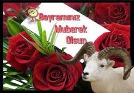 Resim