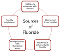 Fluoride Linked to  1 Cause of Death in New Research THE