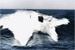  Submarine - Wikipedia, the free encyclopedia