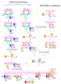 Complement system - Wikipedia, the free encyclopedia