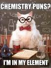 Chemistry Cat of the Day - TDW Geeks
