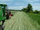 USDA launches first survey for organic farmers | Ecoki