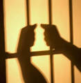 Michael Mitchel    Criminal Law