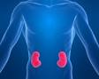 A insuficiência <b>renal</b> é