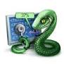 <b>Dipaweb</b> - www.