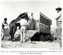 Office of Medical History - United States Army Veterinary Service ... 