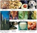Environmental Analytics, LLC