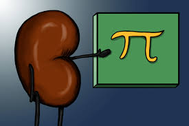 http://t3.gstatic.com/images?q=tbn:ANd9GcRnSwrj3eQmxatd-FW-HbblD1zZn7GmzsGYw4ZE1g2kZigCddtmNw