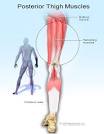 Hamstring Injury (Pulled Hamstring Injuries) Symptoms, Treatment ...