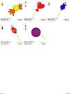 Jenna Bug Designs- Design Collections